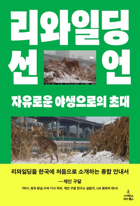 리와일딩 선언